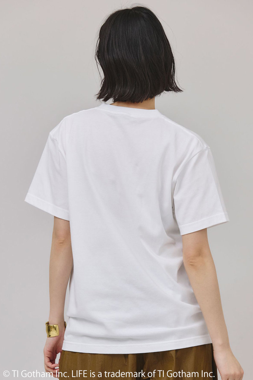 Curensology(カレンソロジー)｜【LIFE PICTURE COLLECTION】別注