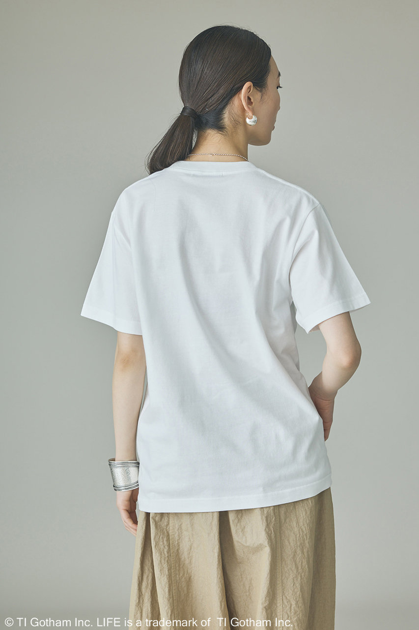 Curensology(カレンソロジー)｜【予約販売】【LIFE PICTURE COLLECTION
