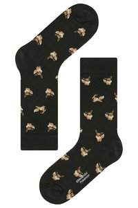 ＜ELLE SHOP＞ socks appeal ソックスアピール Pocket Monsters socksappeal！【ポケットモンスターソックスアピール！ Eievui-ブラック