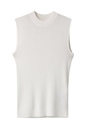 アナイ/ANAYIのアセテートポリエステルノースリーブ(110300/110301)