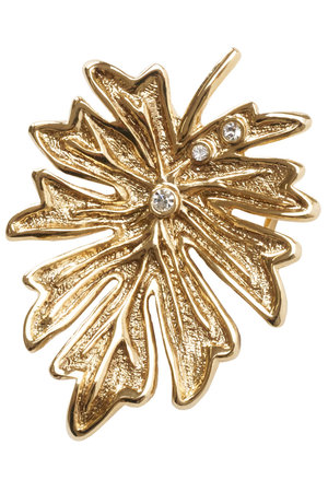 アナイ/ANAYIのリーフモチーフブローチ(150500/150502)