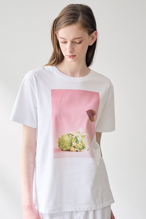 アナイ/ANAYIのコットン天竺ロマネスコプリントＴシャツ(110100/110102)