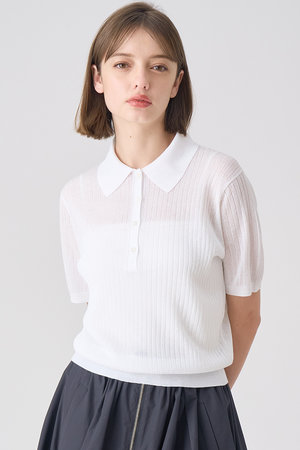 アナイ/ANAYIのLUREXポロプルオーバー(110300/110301)