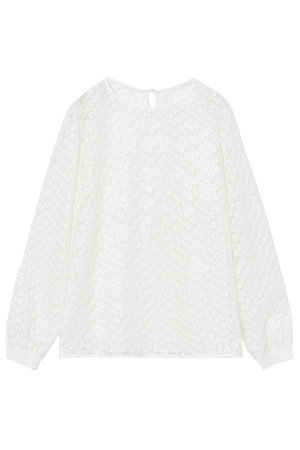 アナイ/ANAYIのフラワー刺繍クループルオーバー(110100/110103)