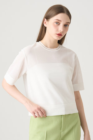 アナイ/ANAYIのラッセルメッシュプルオーバー(110100/110102)