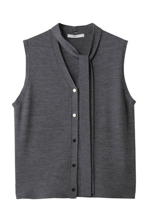 アナイ/ANAYIのスーパーFメリノタイ付ベスト(110300/110301)
