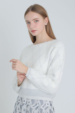 アナイ/ANAYIのフェザージャガードビジュー プルオーバー(110300/110301)