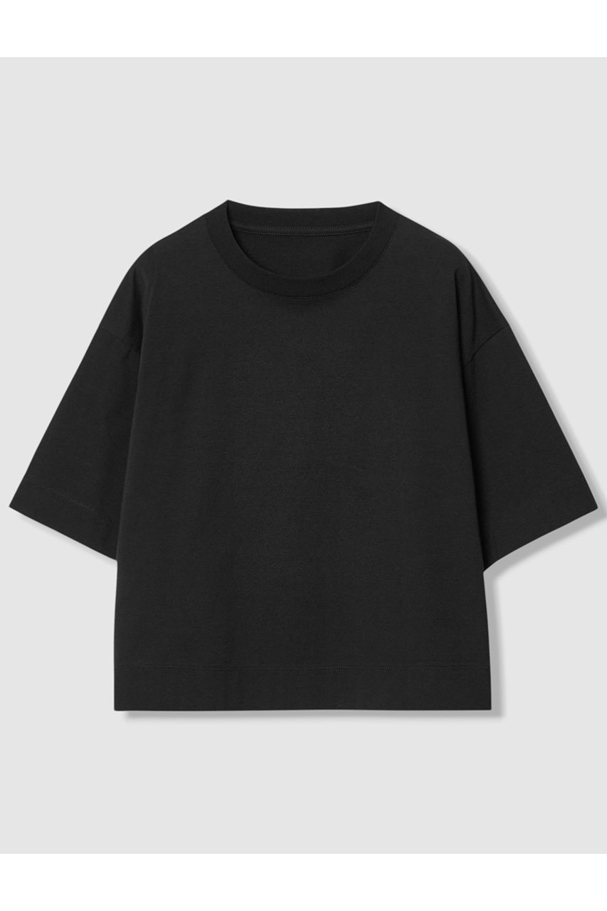 アナイ/ANAYIの【予約販売】コットン天竺半袖オーバー プルオーバー(ブラック/10261815050-95-380)