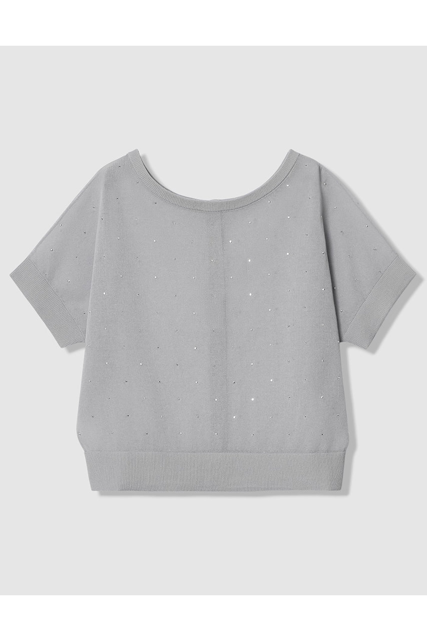 アナイ/ANAYIの【予約販売】ビジュードットシアー プルオーバー(グレー/10261816460-92-380)