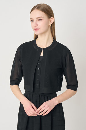 アナイ/ANAYIの【予約販売】【セットアップ対応商品】ニッティングメッシュクルー カーディガン(110300/110303)