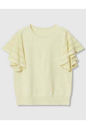 アナイ/ANAYIの【予約販売】シアーフレアスリーブ プルオーバー(110300/110301)