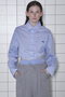 Sheer Short Length Shirt/シアーショートシャツ メゾンスペシャル/MAISON SPECIAL