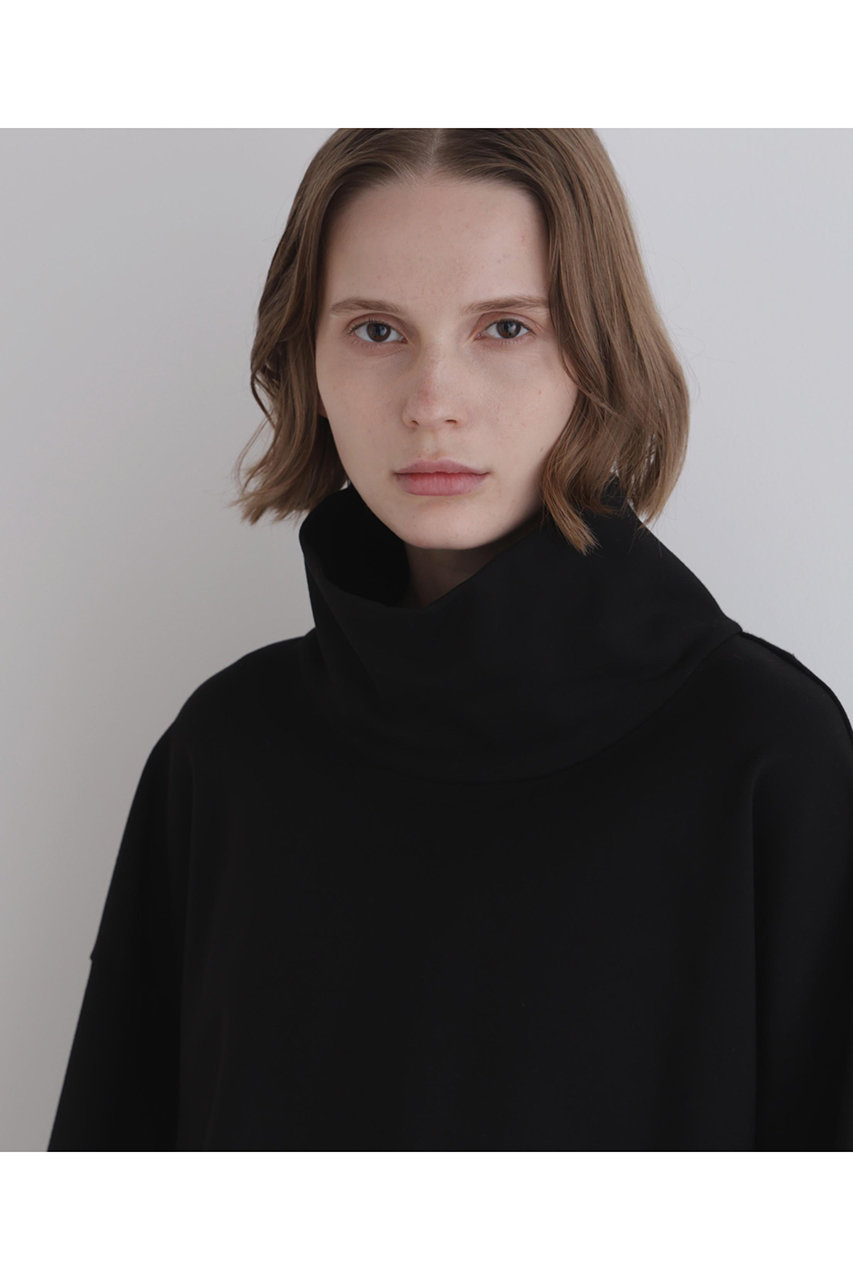 LE PHIL(ルフィル) 長袖カットソー サイズF レディース美品  - 黒 ハイネック LE PHIL(ル フィル)｜ハイネッククロプドプルオーバー/ブラック の通販