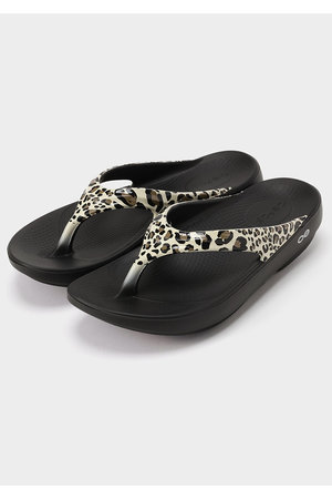 ル フィル/LE PHILのＯＯＦＯＳ　ＯＯｌａｌａ　Ｌｉｍｉｔｅｄ－Ｌｅｏｐａｒｄ２(130200/130204)