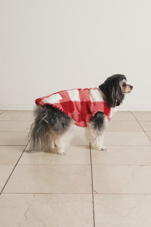 キッドブルー/KID BLUEの24シャギーギンガムドッグウェア(513000/513001)