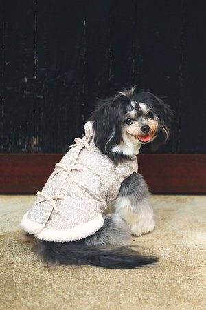 キッドブルー/KID BLUEのLIBERTYキルトドッグウエア(513000/513001)