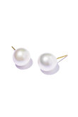 large stud pearl ピアス