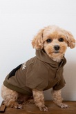 【ペットグッズ】SP Dog Parka