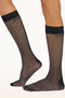 31588 NET KNEE-HIGHS ウォルフォード/Wolford ブラック