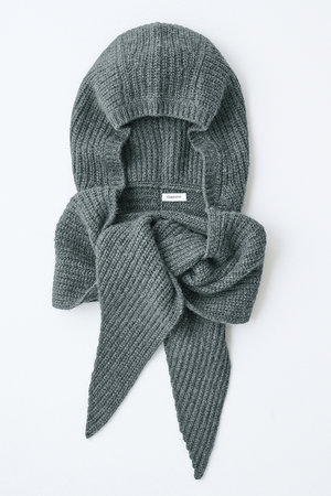 エレガンセーゼ/eleganceseの【予約販売】ウールカシミヤ フーディ スカーフ(140100/140103)