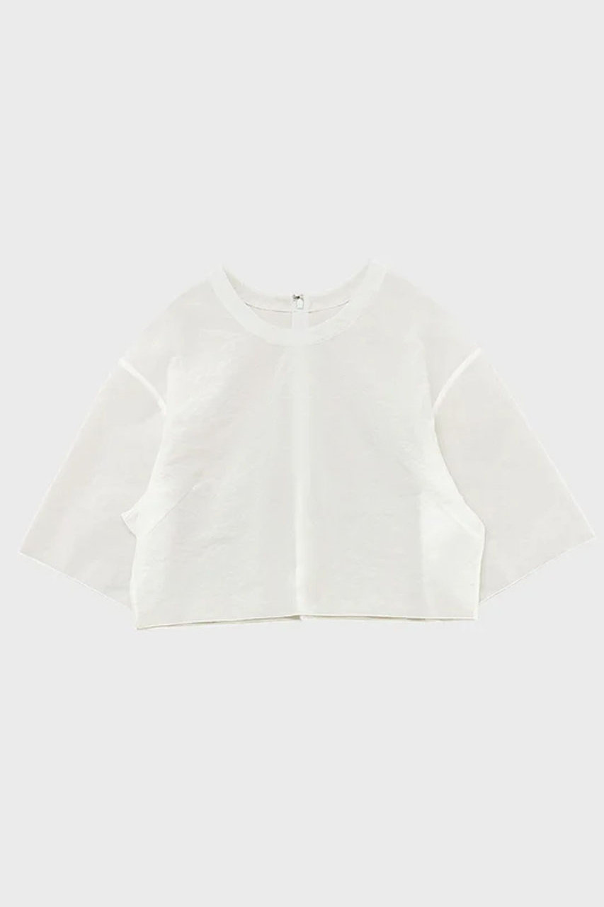 スタニングルアー/STUNNING LUREの【予約販売】シアーストレッチクロップドT(ホワイト/111180122600)