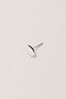 GLEAM コイン スタッドペアピアス サラース/SARARTH シルバー