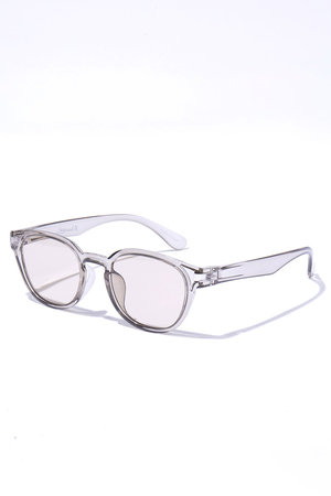 COVE CLEAR gray  サングラス