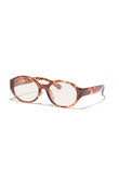 BAY CLEAR ベッコウ brown サングラス ジュガードフォーティーン/jugaad14