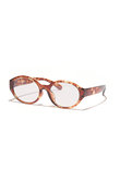 BAY CLEAR ベッコウ brown サングラス ジュガードフォーティーン/jugaad14