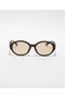 BAY CLEAR deep brown サングラス ジュガードフォーティーン/jugaad14