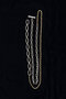 バイカラーチェーンネックレス / Bicolor Chain Necklace プランク プロジェクト/PRANK PROJECT
