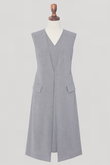 Sophisticated Dress