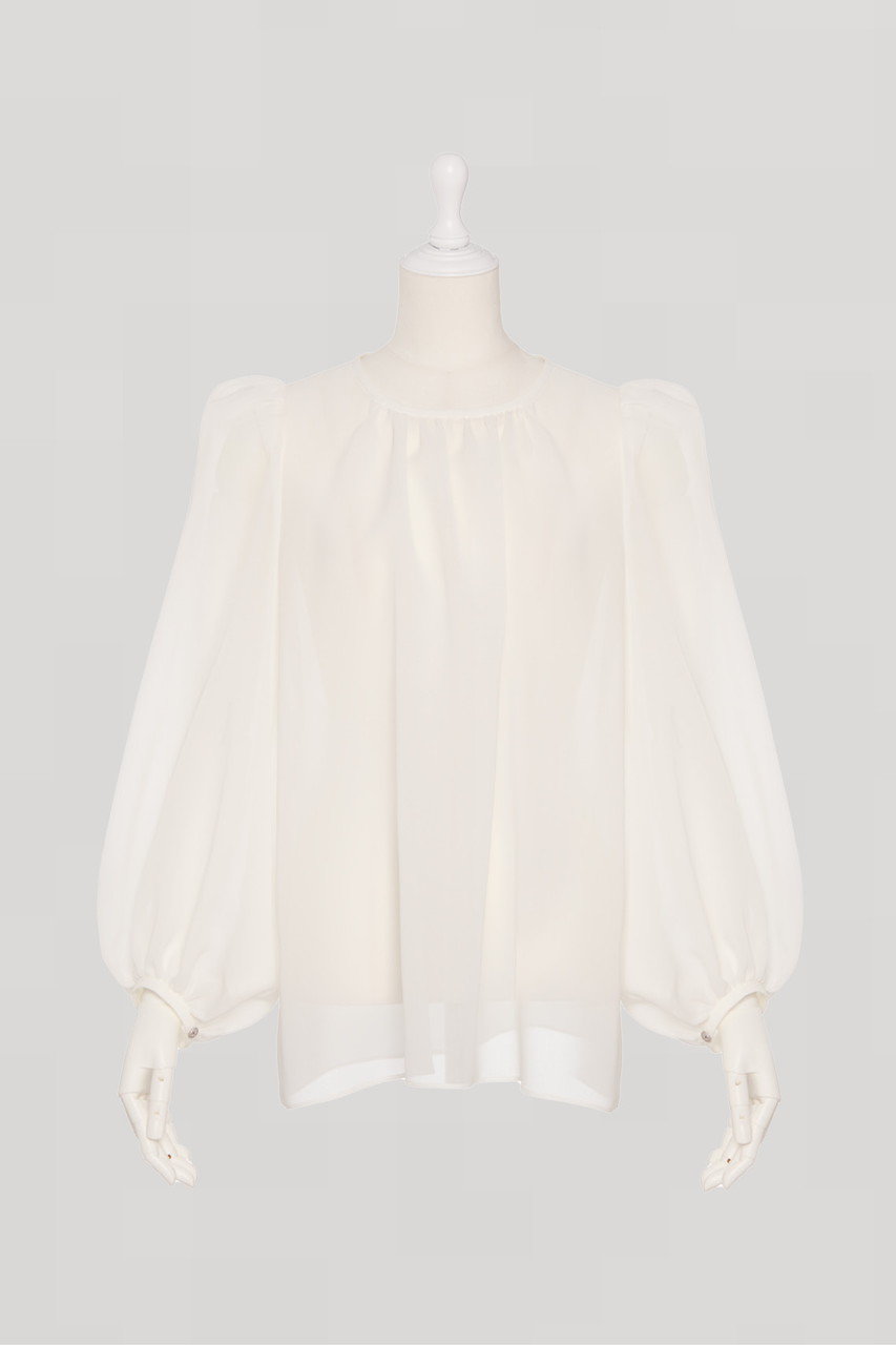Sheer Puff Blouse