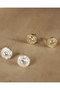 Apollo Sparkle Stud ピアス デイジー ロンドン/DAISY LONDON