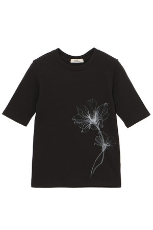 ミラ ショーン バイ チカ キサダ/mila schon by chika kisadaのリブフルールプリントカットソー(110100/110102)