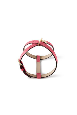 ボナベンチュラ/BONAVENTURAの【ペット】BONAVENTURA × FRIDA Firenze  ハーネス 35 シュリンクレザー(513000/513001)