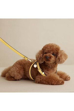 ボナベンチュラ/BONAVENTURAの【ペット】BONAVENTURA × FRIDA Firenze  ハーネス 35 シュリンクレザー(513000/513001)