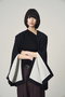 slit sleeve flare jacket ヴェニカ/Venica