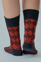【予約販売】Argyle ソックス ユクリ/YUQRI