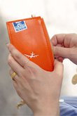【SKIN/スキン】Fragment case (orange)