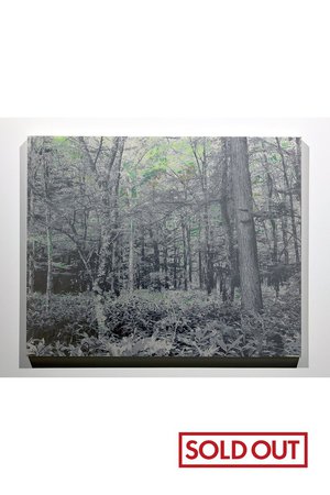 アルトテック/ARTOTHEQUEの【能條 雅由】Mirage #108(650100/650105)