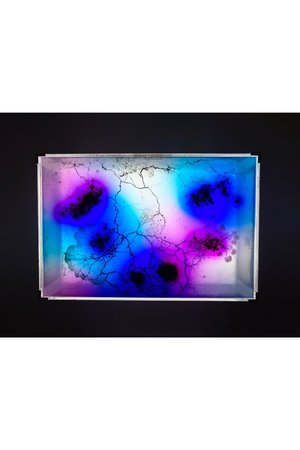 【齋藤 帆奈】Eaten Colors ver.1 rectangle