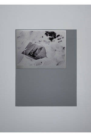 ユミコチバアソシエイツ/Yumiko Chiba Associatesの【吉田志穂】The Vestiges of the Unseen(650100/650103)