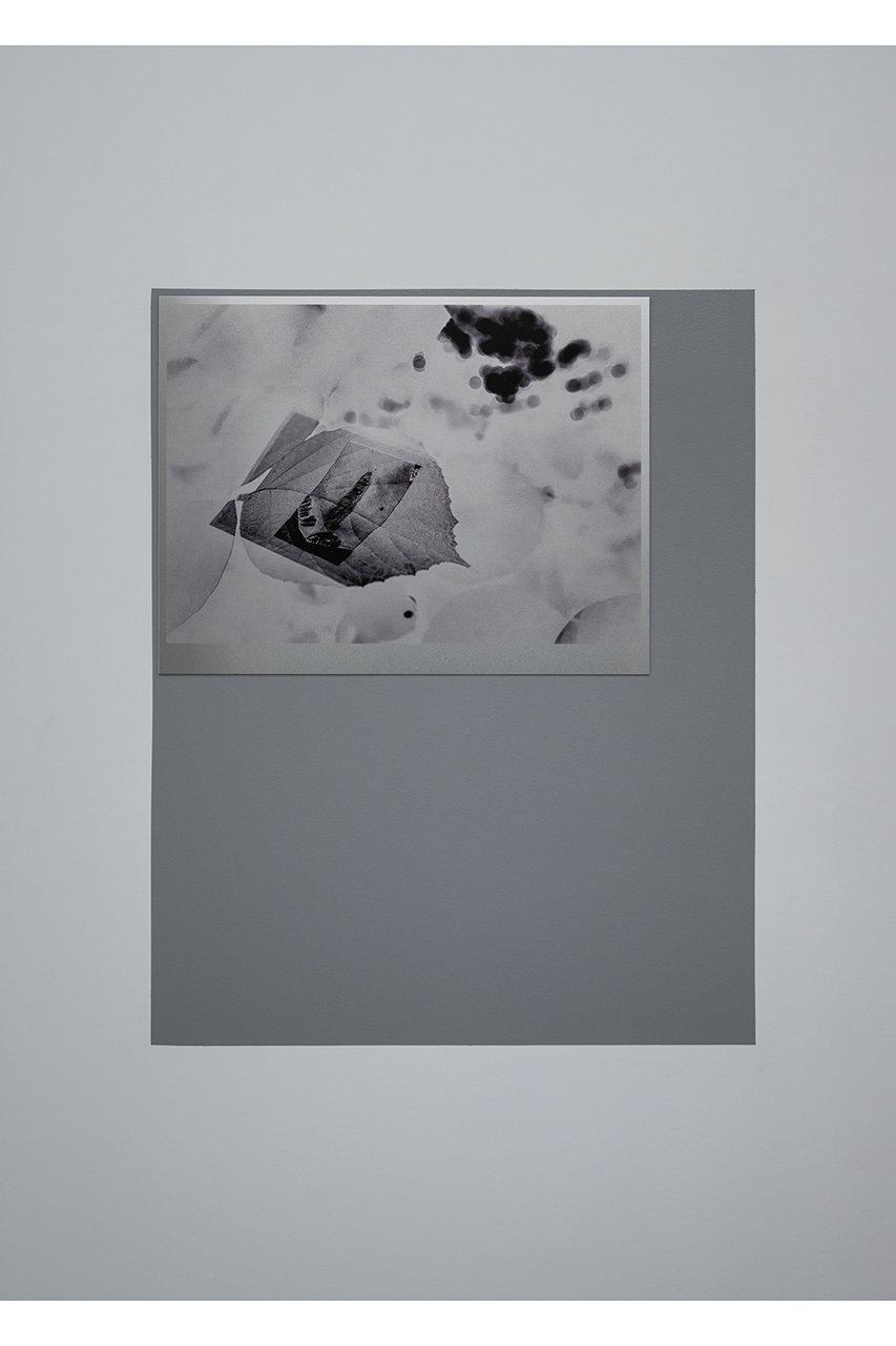 ユミコチバアソシエイツ/Yumiko Chiba Associatesの【吉田志穂】The Vestiges of the Unseen(-/-)
