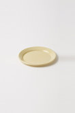 ENAMEL DINNER PLATE