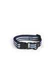 HAY DOGS COLLAR FLAT