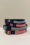 HAY DOGS COLLAR FLAT ヘイ/HAY