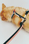 HAY Dogs Harness Medium ヘイ/HAY