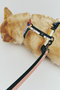 HAY Dogs Leash Flat M/L ヘイ/HAY