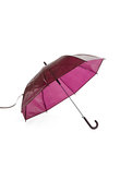 Canopy Umbrella